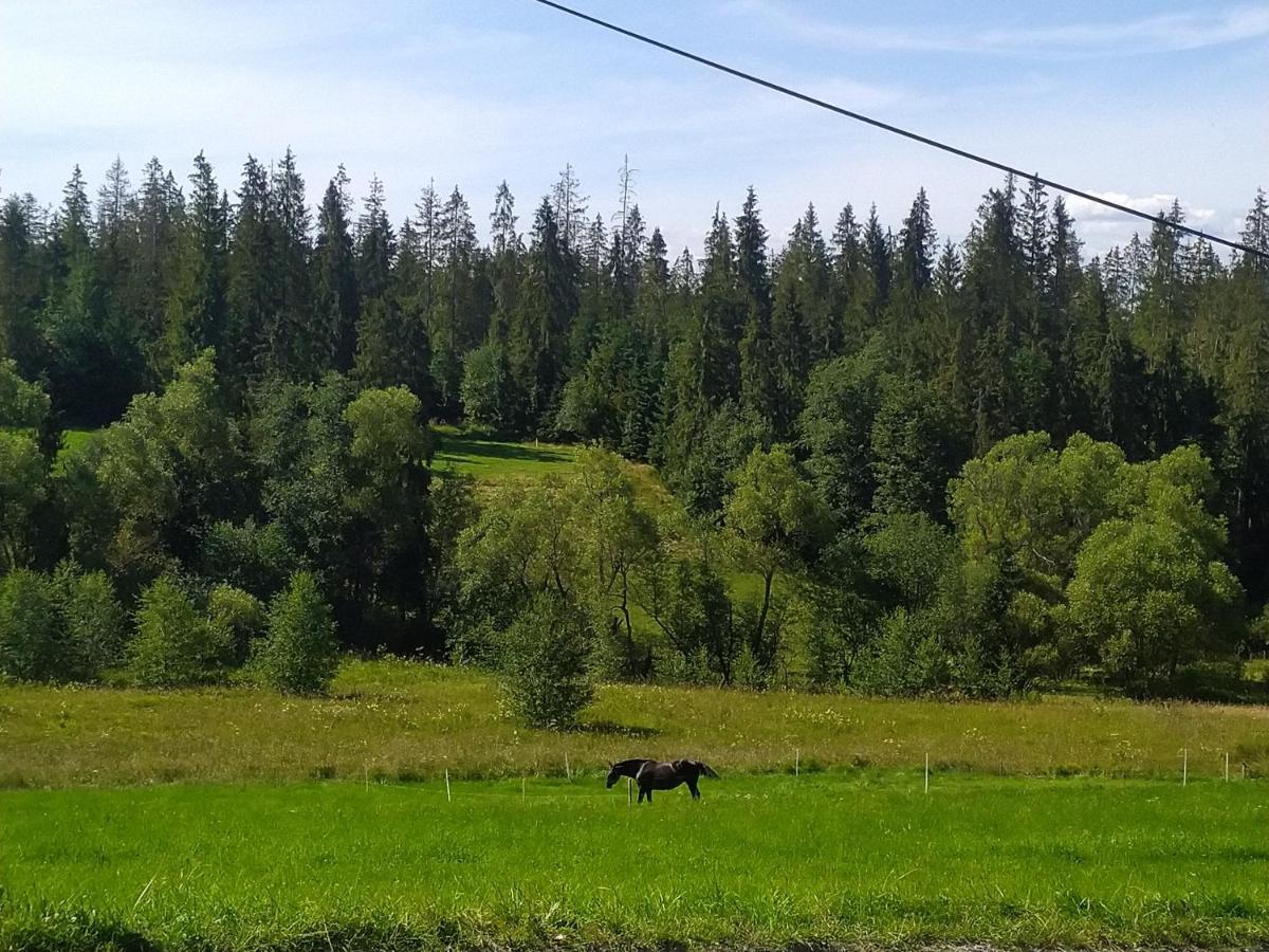 Domek U Mrugaly Poronin Dış mekan fotoğraf